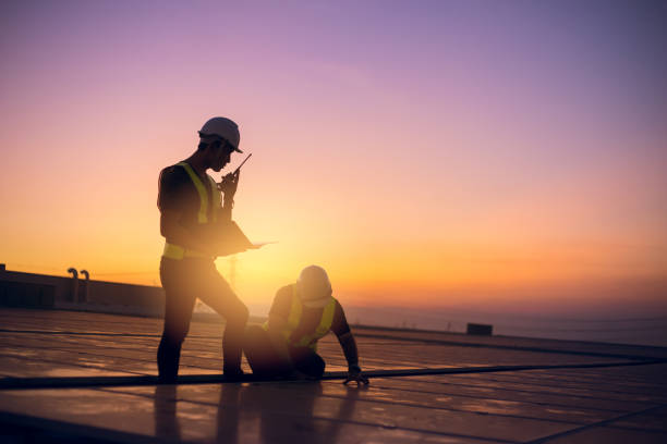 Best Affordable Roof Replacement  in Steger, IL