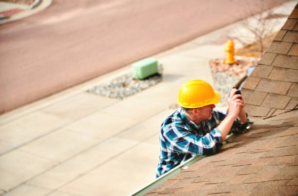 Best Roof Gutter Cleaning  in Steger, IL