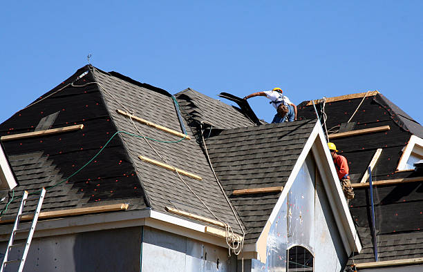 Best Roof Maintenance Services  in Steger, IL