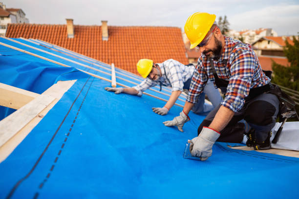 Professional Roofing Contractor in Steger, IL