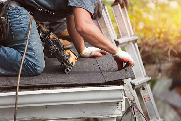 Best Storm Damage Roof Repair  in Steger, IL