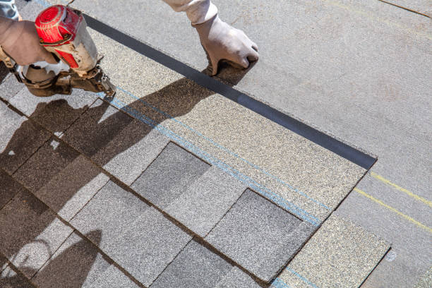Best Flat Roof Repair Services  in Steger, IL