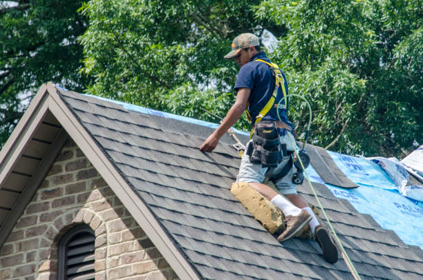 Best Metal Roofing Contractor  in Steger, IL